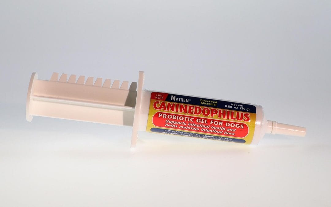 Natren Caninedophilus Probiotic for Dogs