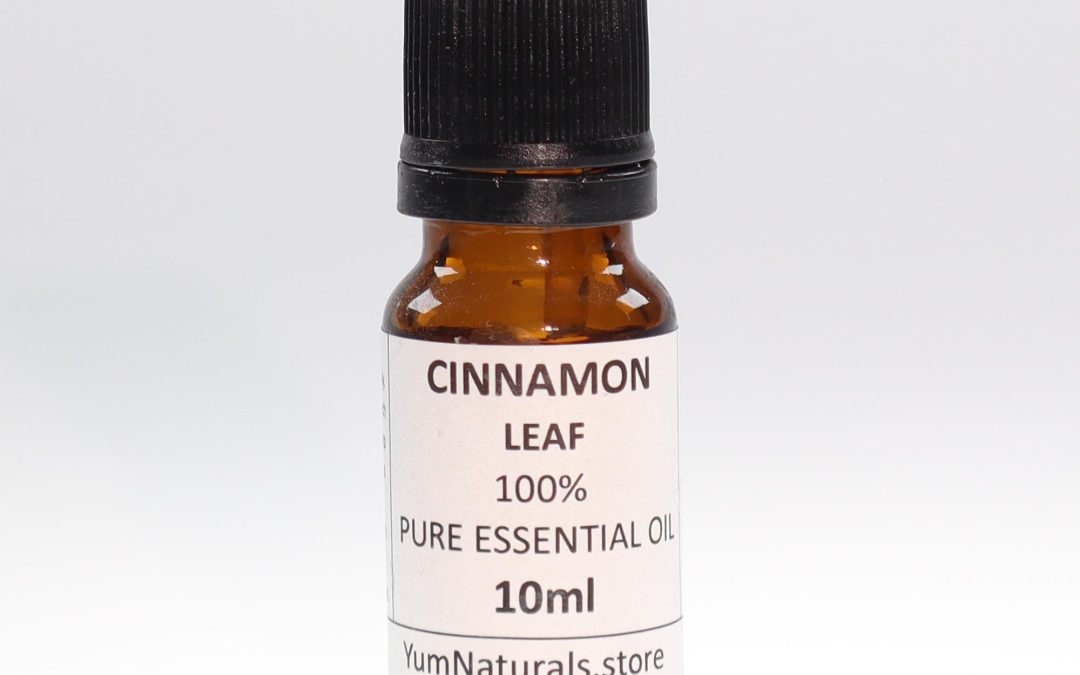 Cinnamon Leaf Pure Essential Oil