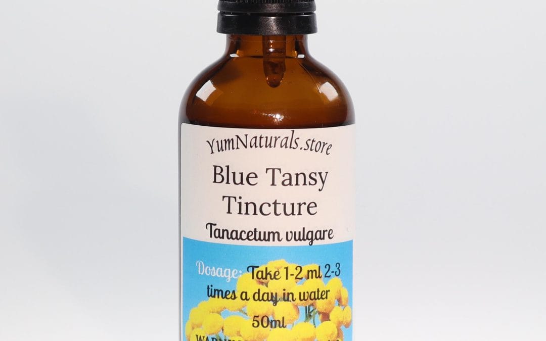Blue tansy tincture – Parasite and Emmenagogue