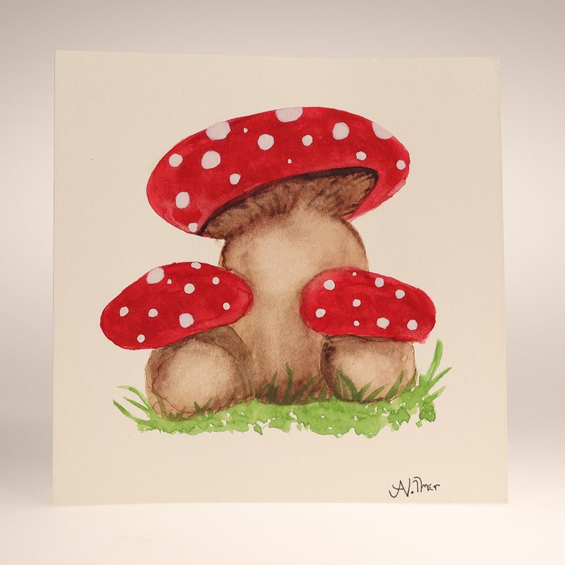 YumNaturals Store Amanita Family study 1 Amandha D Vollmer 2026 Watercolour on paper 5.75 x 5.75 2K72
